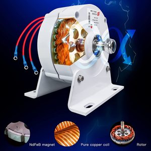 Generador Magnético PMG-S 100w 12v/24v/48v de Buena Calidad, Energía Gratuita, PMG Doméstico, Gran Venta, Otros Electrodomésticos Pequeños con Imán - Product Image 6