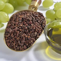 Extrait de pépins de raisin de qualité supérieure, jaune pâle à brun jaunâtre, qualité industrielle, Proanthocyanidines 95%, Polyphénols 30%-80%