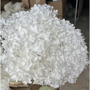 «DIY» материал бессмертный консервированный свежий цветок Анны гортензии красочная вечная Гортензия с ветками