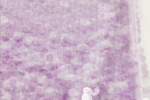 Gonne di paillettes donna dritta al ginocchio matita <span class=keywords><strong>glitterata</strong></span> elegante pacchetto di paillettes Hip Sexy Nightclub <span class=keywords><strong>gonna</strong></span> a tubino aderente sul palco - Product Image 4