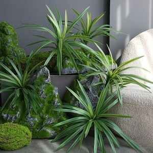 Hojas Verdes Artificiales Ecológicas Personalizadas, Plantas de Aloe <span class=keywords><strong>Vera</strong></span> y Dracaena para Decoración del Hogar, Bodas, Navidad, Escaparates de Centros Comerciales - Product Image 3