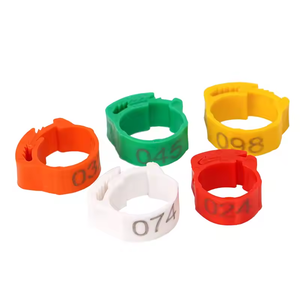 Anillos ajustables para patas <span class=keywords><strong>de</strong></span> pollo y pato, anillos flexibles para patas <span class=keywords><strong>de</strong></span> aves <span class=keywords><strong>de</strong></span> corral, anillo con hebilla <span class=keywords><strong>de</strong></span> número digital - Product Image 3