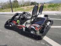 2025 Nouveau kart à essence 2 places en vente Entraînement par chaîne avec démarrage par traction