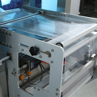 Balance linéaire à double tête, machine automatique pour granulés de bois, farine de noix de coco, haute précision, haute productivité, sacs tactiles, feuille