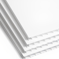 Feuille ondulée PP de 2 à 12mm/carton ondulé blanc antistatique ESD/feuilles de plastique ondulé de 4x8