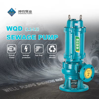 Pompe submersible pour eaux usées en fonte résistante à la corrosion série SN WQ, moteur efficace, traitement des eaux usées, personnalisable OEM