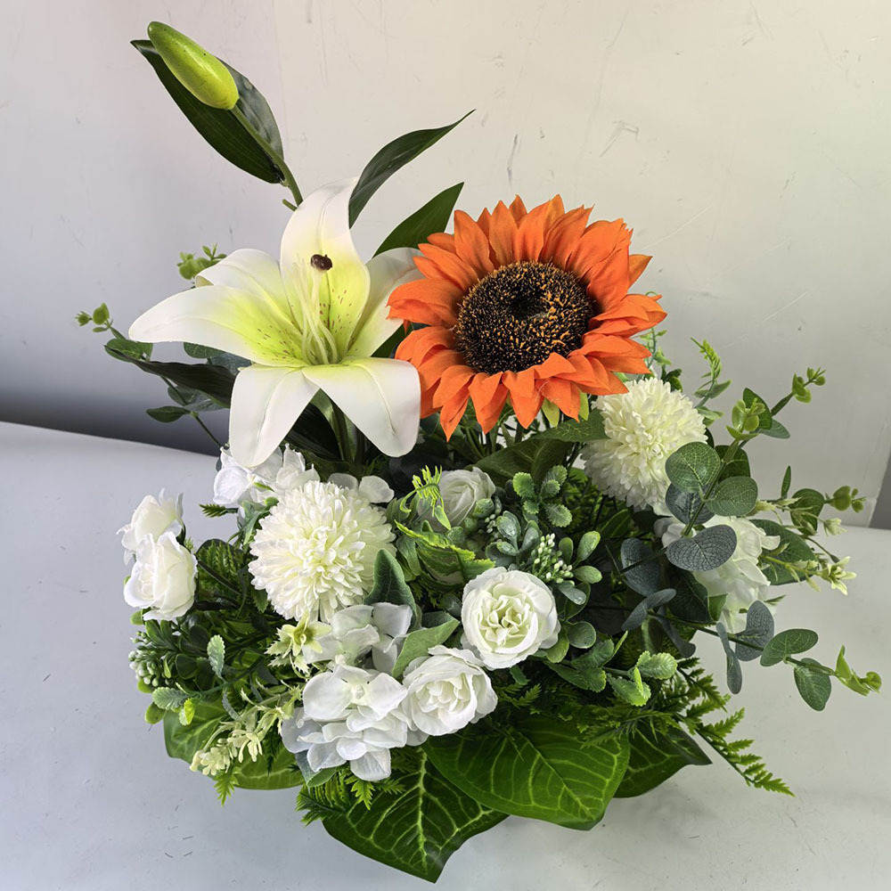 สไตล์ dbbsww