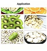 Keukenapparatuur RVS Elektrische Fruit- en Groentesnijder Automatische Gember Radijs Aardappel Snijmachine