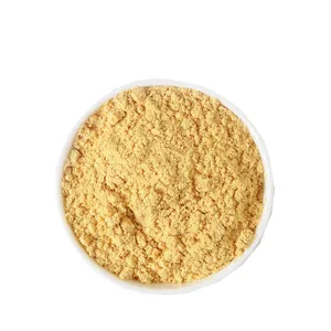 HIgh Quality Ginger Powder Ginger Root Powder Ginger Extract Powder