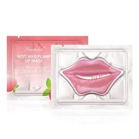 Coffret Cosmétique Soin des Lèvres 5 Pièces : Masque Lèvres, Exfoliant Élimination Peaux Mortes, Baume à Lèvres, Masque au Collagène – Vente en Gros, Portable, Coffret Cadeau 5 Pièces