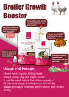 Poudre d'alimentation pour volailles de chair, stimulant de croissance, vitamines et probiotiques pour poulets de chair, favorisant l'appétit, certifiée ISO CE GMP, fournisseur OEM