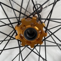 Jeu de jantes à rayons droits noirs 19x1.4 avant 16x2.15 arrière avec moyeu et nipples dorés pour Surron Light Bee Pièces de motocross