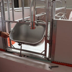 Cages pour porcs, stylo de mise bas pour porcelets avec plancher à lattes en plastique pour pépinière de bétail - Product Image 6