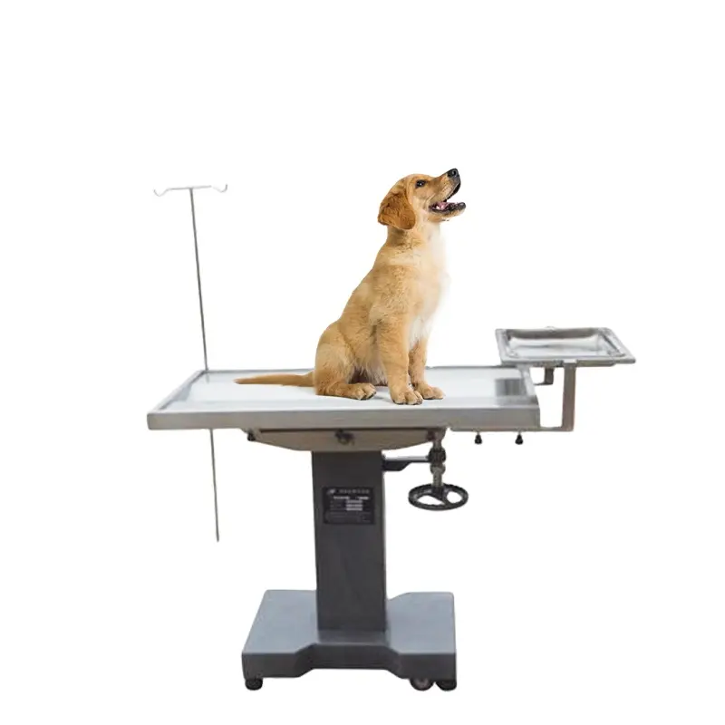 HC-R009 tavolo operatorio medico per animali domestici/tavolo per chirurgia veterinaria, letto operatorio chirurgico veterinario