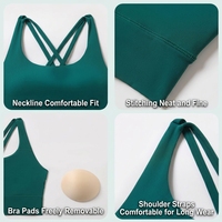 Soutiens-gorge de sport personnalisés pour femme avec logo, vente en gros, maintien élevé, bretelles croisées au dos, 210 GSM, push-up, pour entraînement, gym et yoga