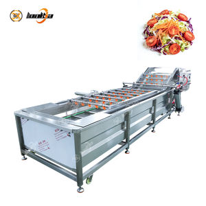 モジュール設計と簡単な操作を備えた自動ニンジン・チェリートマト・葉物野菜サラダ加工ライン - Product Image 3