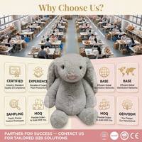 Adorable cochon en peluche kawaii dodu avec couronne dorée et sucette, jouet en peluche rose doux avec nœud en satin pour un cadeau adorable