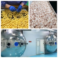 Friandises lyophilisées pour animaux de compagnie, ingrédient unique, riches en protéines, pour chats et chiens, saveurs variées, complément alimentaire naturel, vente en gros usine, OEM