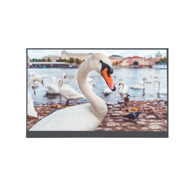 K&D 10.1 Inch 1024x600 LVDS LCD Panel 450nit High Brightness 3.0mm Ultra Slim Display Module 75% Uniformity 500:1 TFT Panel
