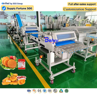 Ligne de production de nourriture frite multifonctionnelle Baiyu pour les galettes de hamburgers, les croquettes et le poulet frit