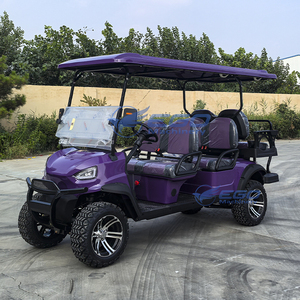 Mini Club Car de 6 Plazas, Vehículo Eléctrico Todoterreno de Alta Potencia, Carro de Golf para Uso en Parques y Zonas Turísticas - Product Image 2