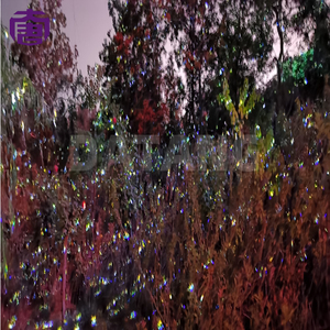 Luz láser multicolor para iluminación de jardín al aire libre y espectáculos de eventos festivos - Product Image 4