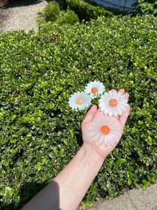 Venta al por Mayor de Adornos de Cristal de Selenita de Alta Calidad, Girasoles de Cristal, Gemas, Feng Shui, para Decoración y Sanación - Product Image 3