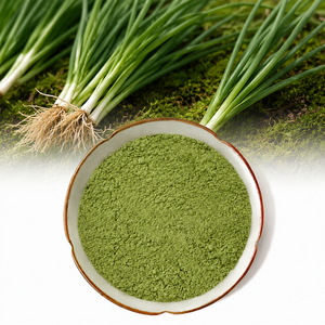 Extracto de Cebollino Liofilizado Instantáneo, Polvo de Cebollino Vegano Premium para Quesos y Rebanadas Veganas - Product Image 3