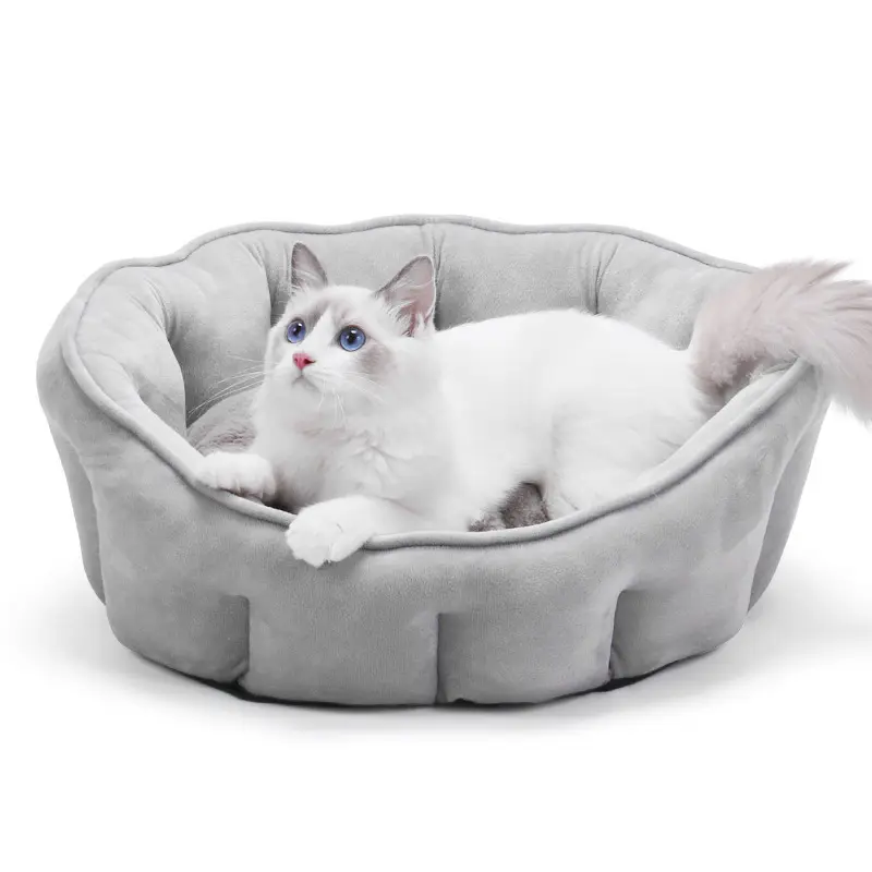 주문 호화스러운 견면 벨벳 개 고양이 침대 기억 모양 큰 둥근 안락한 빨 수 있는 온난한 애완 동물 개집