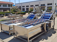 Industriële bubbelwasmachine voor fruit en groenten, tomatenwasmachine