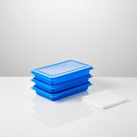 Boîte d'emballage rectangulaire en plastique PS jetable personnalisée avec couvercles, barquettes thermoformées pour produits ménagers