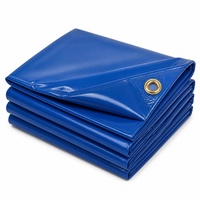 Bâche en PE pour extérieur, bâche en polyéthylène avec protection UV, tissu plastique en feuille de taille standard pour l'agriculture/l'industrie