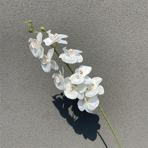 Duy Nhất Thân Cây Bán Buôn Bất Cảm Ứng Trắng Hoa Lan Lan Hoa Nhân Tạo Phalaenopsis Màu Xanh Hoa Lan Cho Đám Cưới Trang Trí Nội Thất - Product Image 3