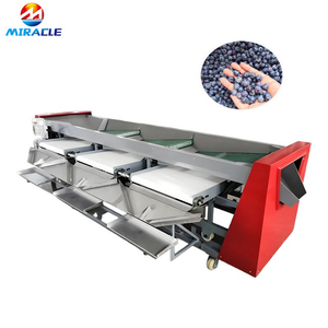 Equipo Automático de Clasificación de Frutas, Máquina Comercial de Clasificación de Arándanos para Fresas, Frambuesas y Bayas - Product Image 6