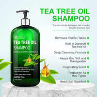 Nouveau Shampooing au Théier Très Vendu Nettoyage en Profondeur Soin Rafraîchissant du Cuir Chevelu Contrôle des Odeurs Laisse les Cheveux Légers et Propres