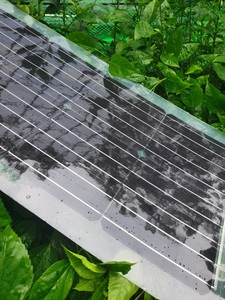 Panel Solar Flexible de Película Delgada Semitransparente SZSSTH 30W 40W 50W 60W 80W 100W - Product Image 4