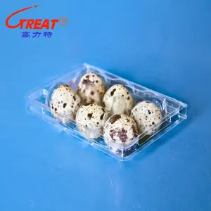 6 pièces d'œufs de caille Boîte à clapet jetable écologique