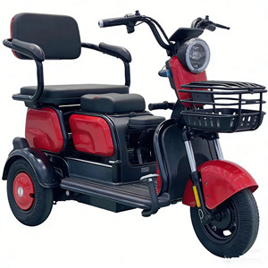 Triciclo Elettrico a 3 Ruote da 500W in Offerta Speciale, Due Posti, Carrozzeria Aperta, Autonomia 50-70km, per Anziani e Disabili, Scooter Elettrico a Tre Ruote - Product Image 1