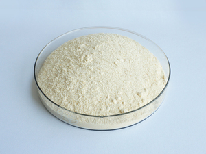 Fosfolipit fosfatidilserin fosfatidil serin fosfatidilserin - Product Image 3