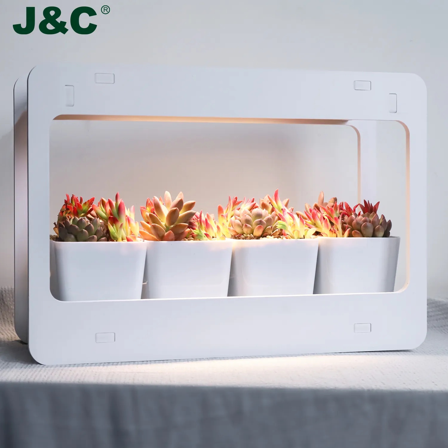 Frame Kruid Indoor Garden Kit Thuis Venster Planter Kit Voor Kruiden Vetplanten En Groenten Wit
