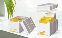 Nouvelle boîte d'élevage de reines Witbee B-22, équipement d'apiculture, mini-nucée de reproduction en polystyrène, ruche d'élevage de reines 3 cadres, jaune et blanc