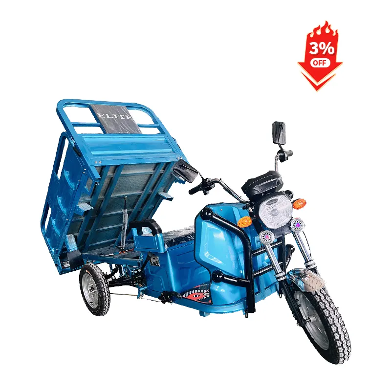 Triciclo de carga Triciclo eléctrico Tres ruedas Bicicleta de 3 ruedas con pantalla LCD de 1000W 48V Ev Motocicleta 2000W 3 ruedas abiertas