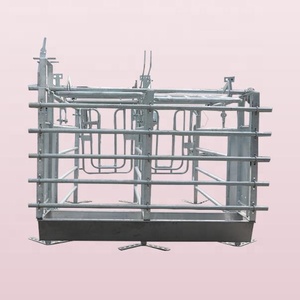 Jaula de Gestación para Granja Porcina con Diseño de Puerta Trasera, Cama para Cerdas, Larga Vida Útil, Galvanizada en Caliente, Certificación CE, Venta Caliente de Fábrica - Product Image 4