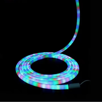 Tube néon flexible à 360 degrés, étanche IP65, fabriqué en Chine, bande lumineuse LED de 5 m, lumière LED néon intelligente RGB