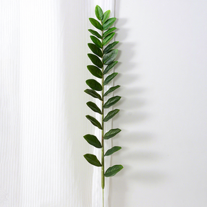 H-897 <span class=keywords><strong>Arbre</strong></span> à monnaie artificiel en <span class=keywords><strong>eucalyptus</strong></span> à <span class=keywords><strong>prix</strong></span> de gros, avec tige à feuille unique Zamiifolia, pour décorations de maison et de mariage - Product Image 4