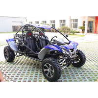 Buggy des dunes certifié CEE, puissance et performance, les tout-terrain préférés d'Europe, 4x4 Renli 1100cc, kart à essence tout-terrain pour adultes