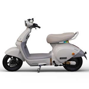 Motocicleta de Alta Potencia de 1200W con Batería de 72V50AH, Capacidad de Carga de 250 kg, Doble Asiento para Desplazamientos Urbanos de Largo Alcance - Product Image 2