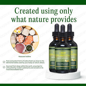 Oem באיכות גבוהה נוזל כלורופיל טיפות חיסון תמיכה טבעי ניקוי טבעי תוספי צמחים כלורופיל - Product Image 3