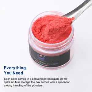 Vente en gros de poudre de Mica 24 couleurs cosmétiques pour le brillant à lèvres Pigments de poudre de Mica pour la résine époxy