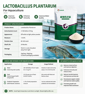 Lactobacillus Plantarum en Polvo, Probiótico Directo de Fábrica, Aditivo para Alimento de <span class=keywords><strong>Peces</strong></span> y Camarones, Mejora la Calidad del <span class=keywords><strong>Agua</strong></span> y la Flora Intestinal - Product Image 2